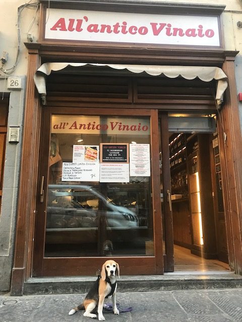 On which street is All'antico Vinaio located?