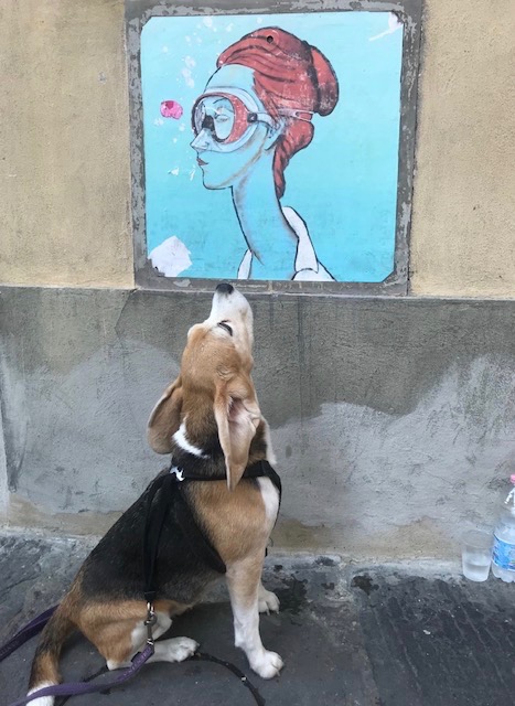 What is the name of this street artist?